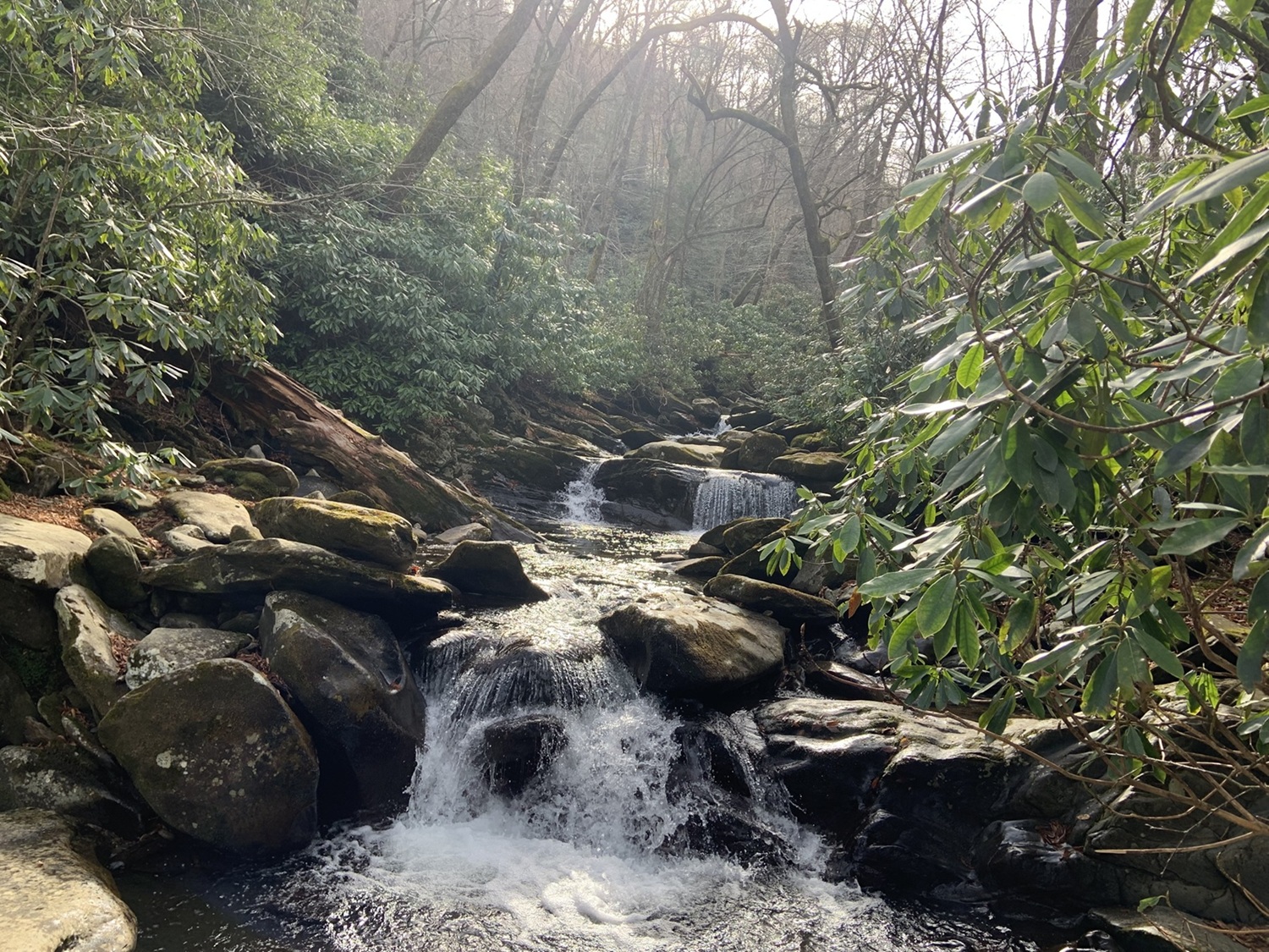 A waterfall in the Smoky Mountains